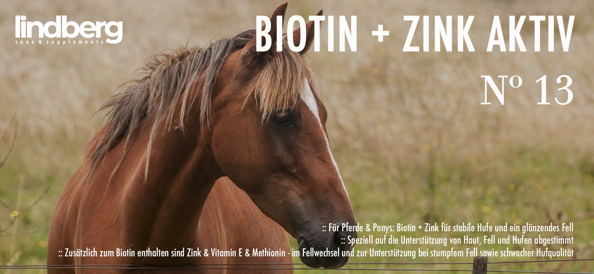 Biotin + Zink + Vitamin E für Pferde