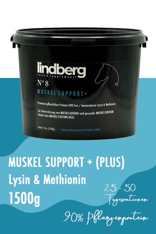 Lindberg Equestrian Muskel Support + (Plus) Zusatzfutter für Pferd und Pony für die Muskulatur