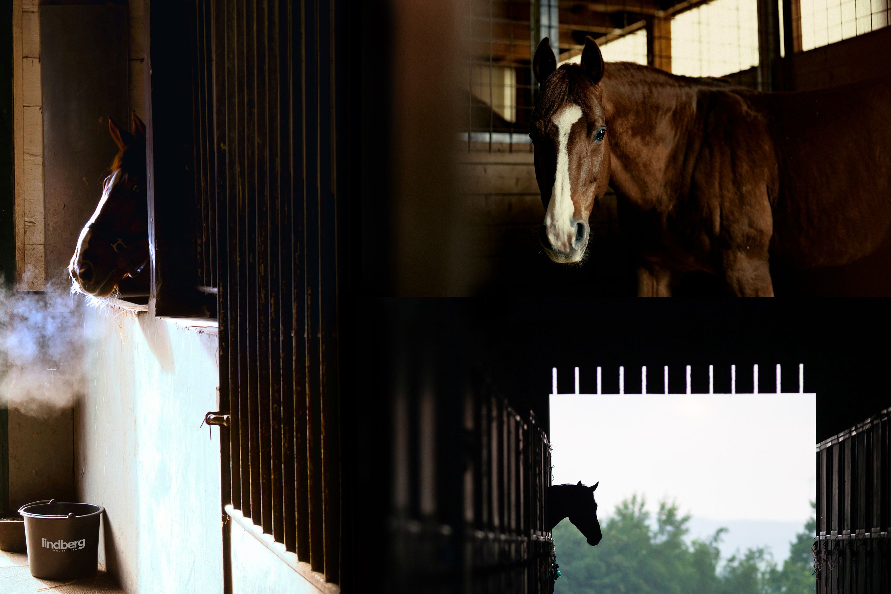 Lindberg Equestrian Sattelschränke, Turnierschränke, Stallbedarf, Futterschalen, Eimer